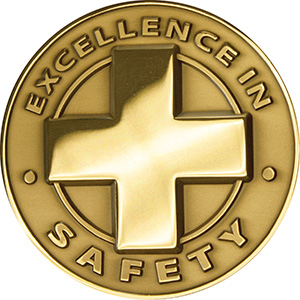 APA Excellence in Safety Medal