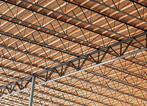 Panelized roof system
