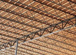 Panelized roof system Panelized roof system