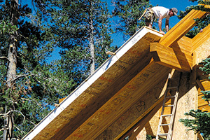 Structural Insulated Panels Structural Insulated Panels